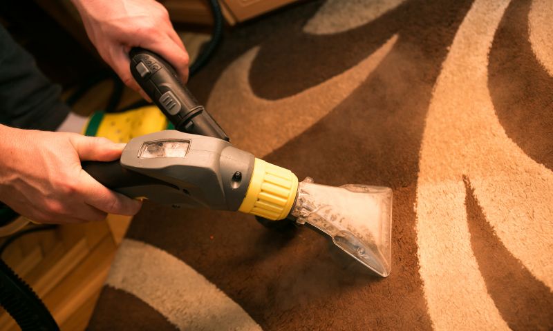 Deep Carpet Cleaning Process