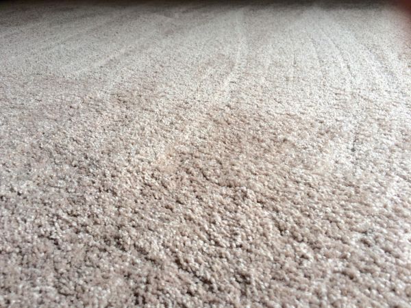 Plush Carpet Installation in Aurora